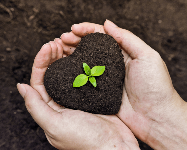 Plant Trees with Clean People