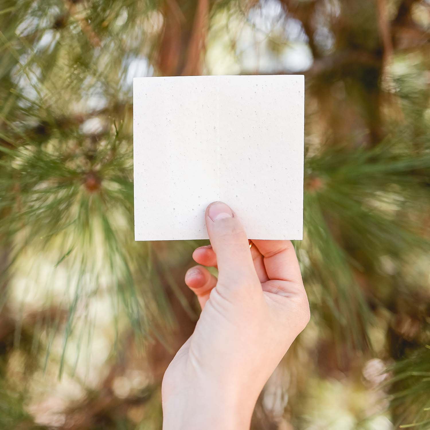 Laundry Detergent Sheets-1